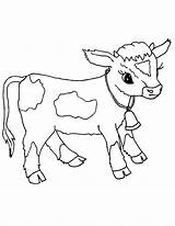 Vaca Calf Farm Filhote Cows Tudodesenhos Coloringpages101 sketch template