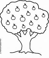 Pohon Apel Mewarnai Buah Kartun Sketsa Tanaman Berbuah Pemandangan Paud Mantul Sentot Warti Buahan Kolase Hias Buku Hewan Masjid Kity sketch template