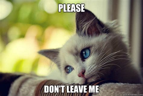Please Don T Leave Me First World Problems Cat Quickmeme