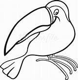 Toucan Clipart Beak Coloring Cartoon Book Outline Stock Illustration Drawing Clip Vector Designlooter Clipartmag Drawings Funny Chechen Library Stockfresh Bird sketch template