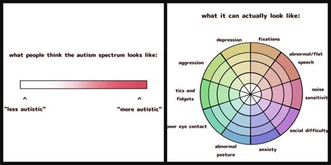 graphic shows   autism spectrum
