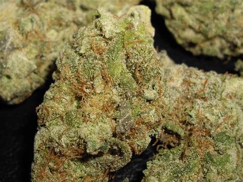 weed  res cannabis chanchan