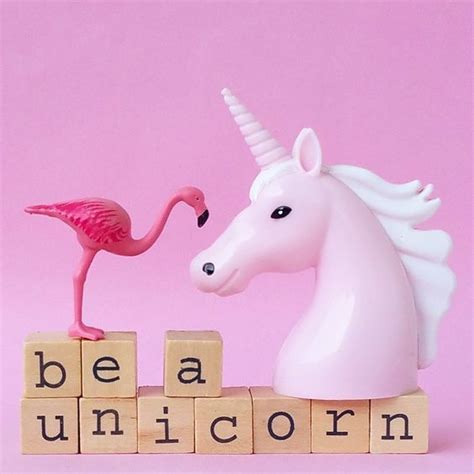 pin  funnyand  whimsical unicorn unicorn  glitter unicorn life
