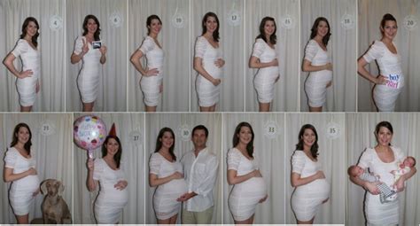 twin pregnancy series the maternity gallery