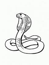 Snake Coiled sketch template