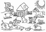 Bauernhof Ausmalbilder Ausdrucken Malvorlagen Ausmalbilderkostenlos Drucken sketch template