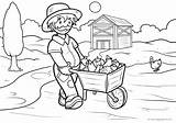 Colorir Agricultura Fazenda Fattoria Granja Atividades Farma Bauernhof Onlinecursosgratuitos Educação Drukuj Kolorowanki Artigo sketch template