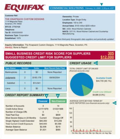 fake credit report template enriquenokiadee