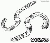 Coloring Pages Worm Print Related sketch template