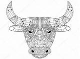 Bull Coloring Head Vector Stock Adults Illustration Depositphotos Gmail sketch template