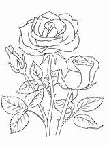 Coloring Pages Rose Flowers Flower Print Color Kids Recommended sketch template