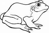 Coloring Frogs Clamping Tadpole Pluspng Stumble sketch template
