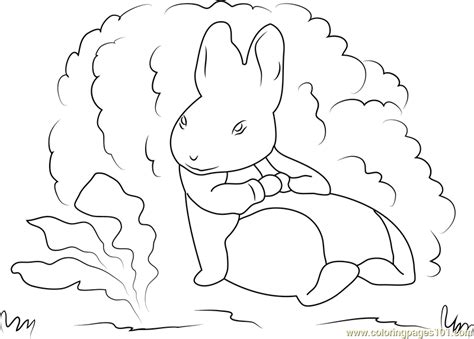 cotton tail coloring page  kids  peter rabbit printable
