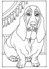Basset Coloring Hound Pages Dog Edupics Getcolorings Colouring Print Color Adult Large sketch template
