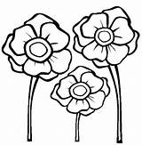 Remembrance Poppies sketch template