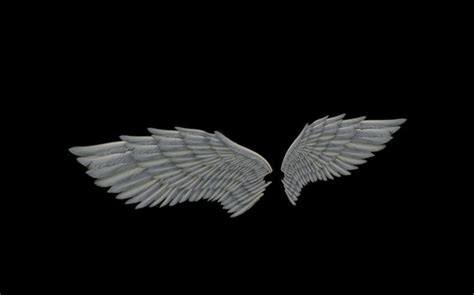 angel wings type 1 free free vr ar low poly 3d model animated