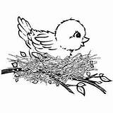 Coloring Pages Cute Birds Baby Kids Printables sketch template