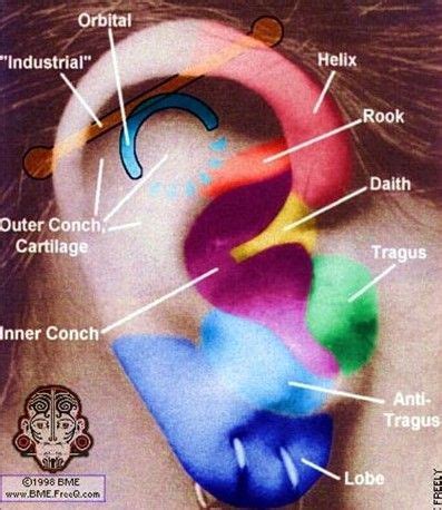 ear piercing   location