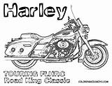 Harley Motorcycle Coloriage Glide Flhrc Adult 塗り絵 Softail Yescoloring ハーレー ダビッドソン sketch template