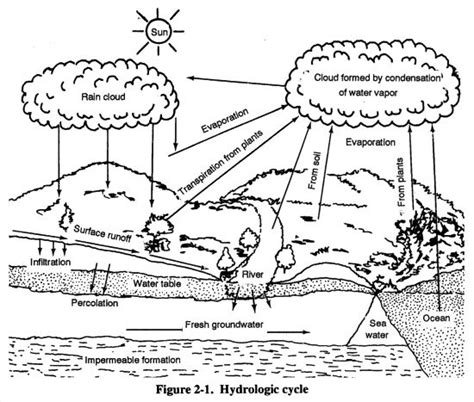water cycle coloring page education science school