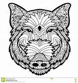 Wild Boar Antistress Zendoodle Drawn Ink Coloring Hand Drawing Preview sketch template