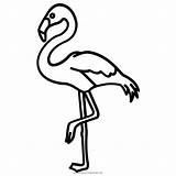Flamingos Ausmalbilder Blanco Mewarnai Beak Silueta Pinclipart Pico Monocromo Ultracoloringpages sketch template
