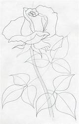 Draw Rose Drawing Easy Realistic Step Beginners Outline Traceable Flower Drawings Sketches Simple Leaf Steps Simply Basic Still Life Stem sketch template