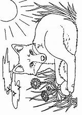 Foxes Vossen Kleurplaten Kleurplaat Fuchs Colorat Renard Zorro Malvorlage Animale Mewarnai Animierte Vulpi Rubah P15 Volpi Uvas Planse Zorra Bergerak sketch template