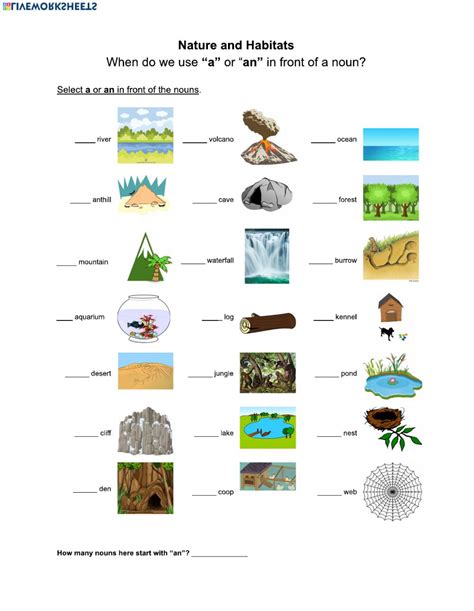 forest habitat worksheets