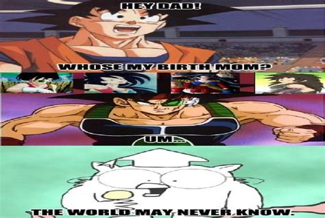Who Is Goku Mother But World Will Never Know By Keyblademagicdan On