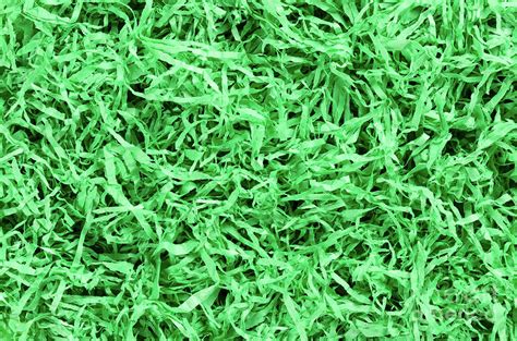 green paper easter grass background photograph  peter hermes furian