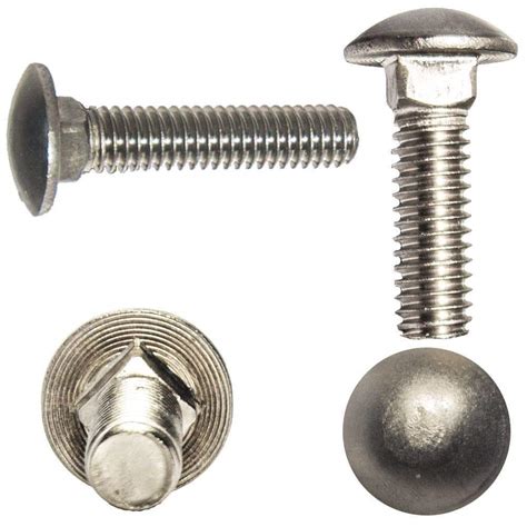 carriage bolt stainless steel     qty  tillescenter bolts fasteners