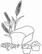 Coloring Wheat Grain Bread Whole Pages Printable Pasta Colouring Grains Clipart Muffin Colour Kids Color Book Macaroni Food Harvest Books sketch template