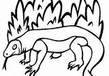 Komodo Dragon Coloring Pages Clipart Clip Colouring Jungle Masks Animals Bushes Kids Cliparts Forest Color Use Presentations Websites Reports Powerpoint sketch template