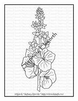 Coloring Pages Printable Books Hollyhocks Printables Drawings Flowers Card Stock sketch template