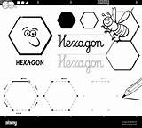 Hexagon Coloring Geometric Shapes Basic Alamy Stock sketch template