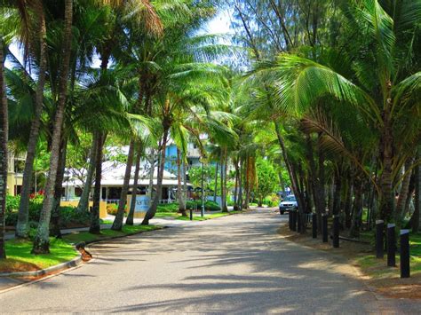coral coast resort apartment tripadvisor holiday rental  palm cove