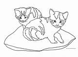 Cat Cats Coloring Two Pages Pillow Drawing Sketch Clipart Kittens Cliparts Print Clip Sketches Getdrawings Tree Library Colored Striped Paintingvalley sketch template