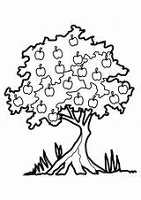 Tree Coloring Pages Life Printable Color Getcolorings Print sketch template