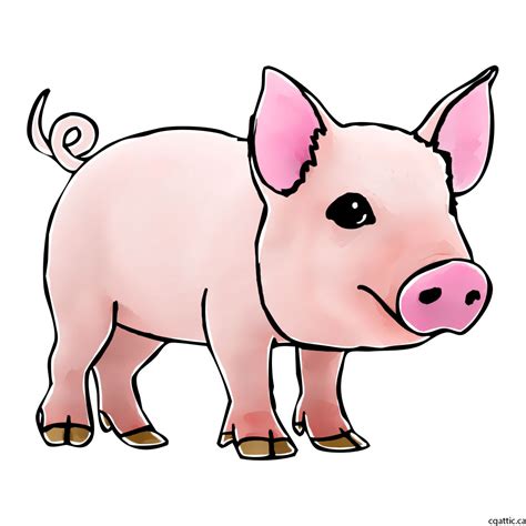 pig cartoon drawing  getdrawings