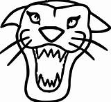 Tiger Coloring Face Wild Wecoloringpage sketch template