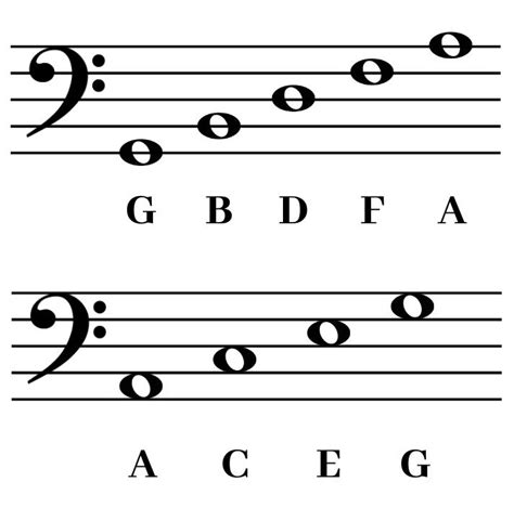 bass clef note chart  printable