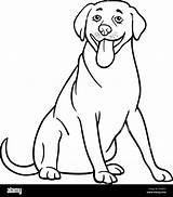 Labrador Cartoon Retriever Dog Coloring Illustration Funny Stock Pages Alamy Choose Board sketch template