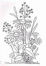 Wildflower Colouring Rudbeckia 1368 Liveinternet Bunch sketch template