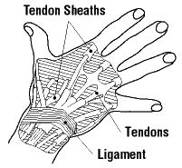 ccohs tendon disorders