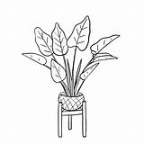 Plant Houseplants 30seconds Lovers sketch template
