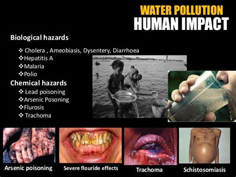 water pollution human impact remedies benz jr   public health notes
