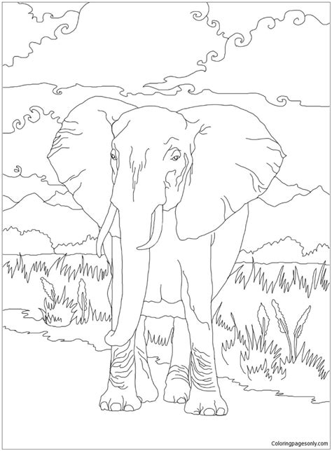 african elephant coloring pages majestic elephant coloring page