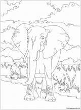 African Elephant Coloringpagesonly Bush Source Elephants Adults sketch template