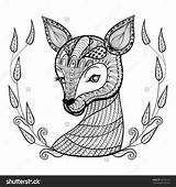 Coloring Mandala Cute Deer Pages Medium Ornamental Patterned Ethnic Drawn Vector Face Hand Stock sketch template